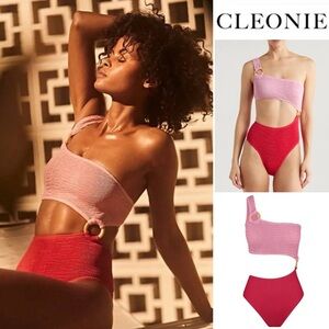Cleonie Cutout Shell Maillot Multi One-Shoulder One-Piece Swimsuit Pink OS 180$